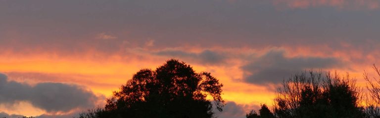 5 Reasons Why I Switched To A Micro Four-Thirds Camera