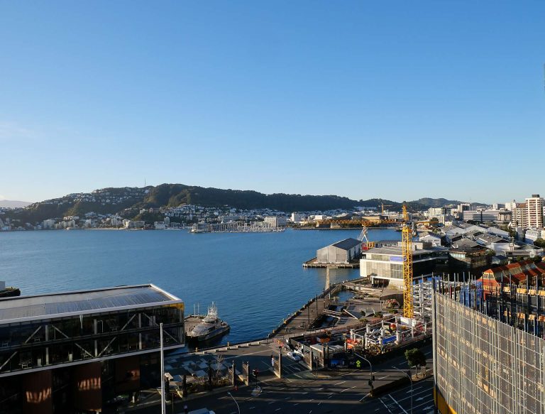 a brief excursion to wellington