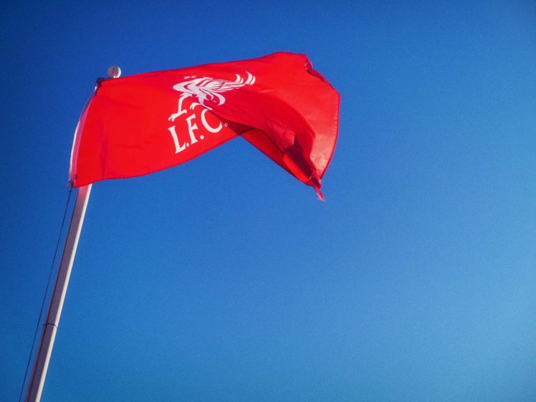 Liverpool Football Club flying in my back garden.