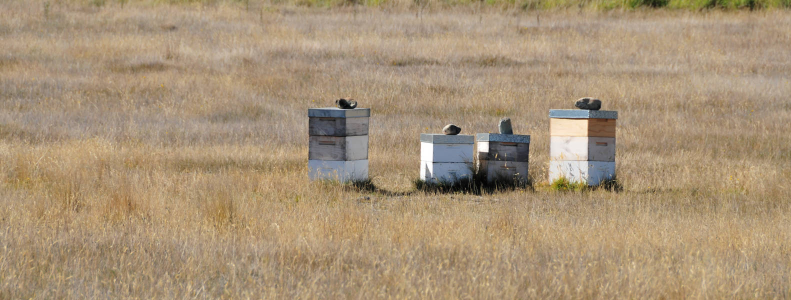 our favourite freedom camping spots part 1