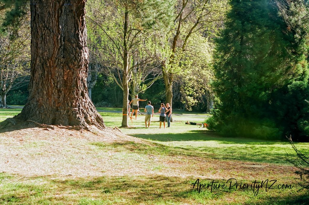 low wire act in queens park