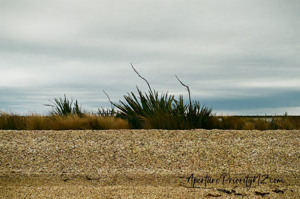Stoney beach at Awarua Bay