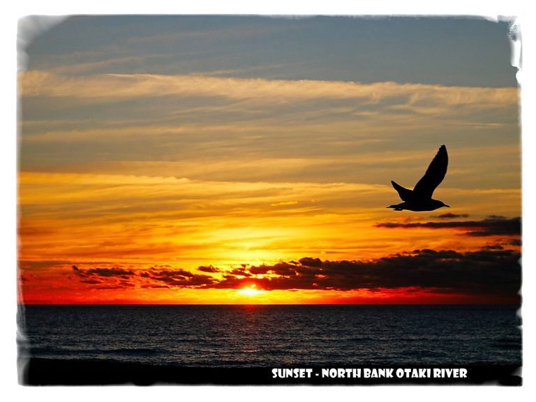 Postcards From The North Island