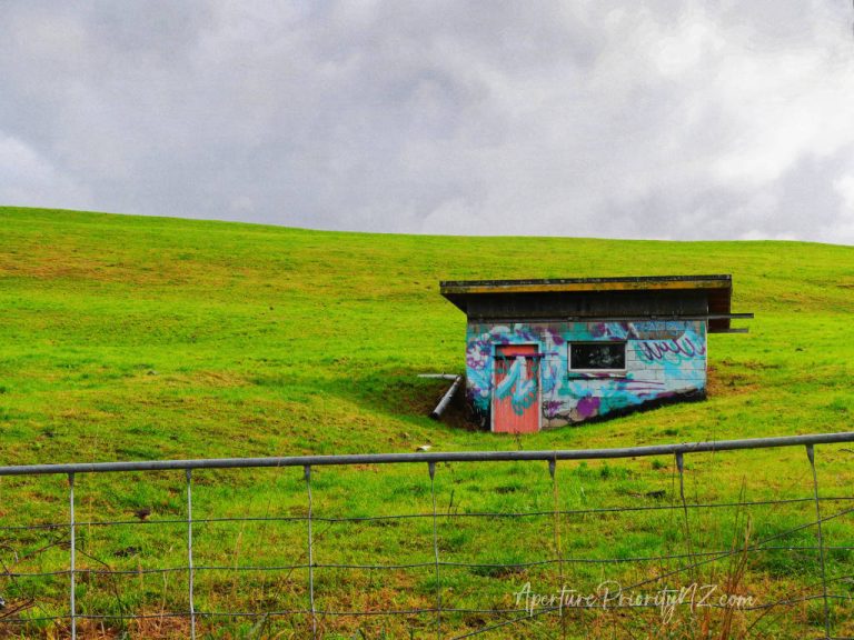 old shed in a paddock