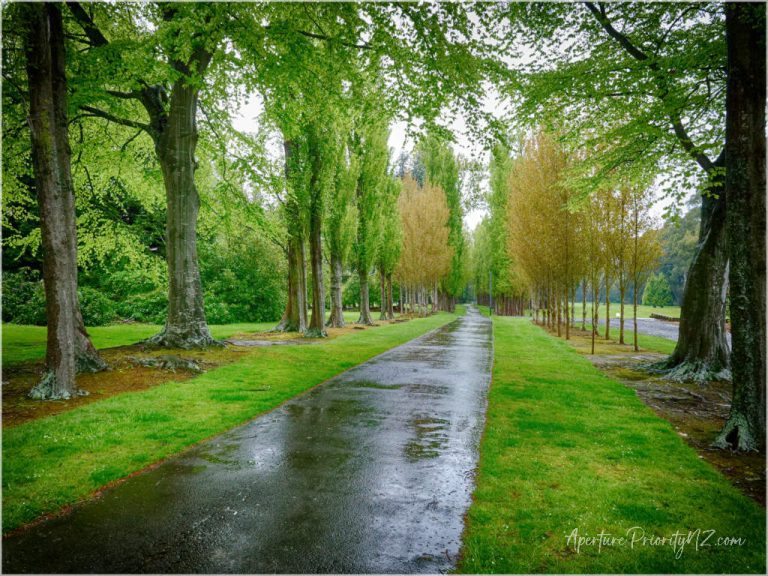 make dull photographs pop one of the main paths in queens park