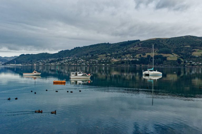 otago harbour - reasons to try dxo photolab 6