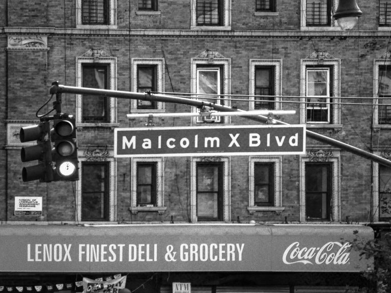 malcom-x-boulevard-new-york-city-2014