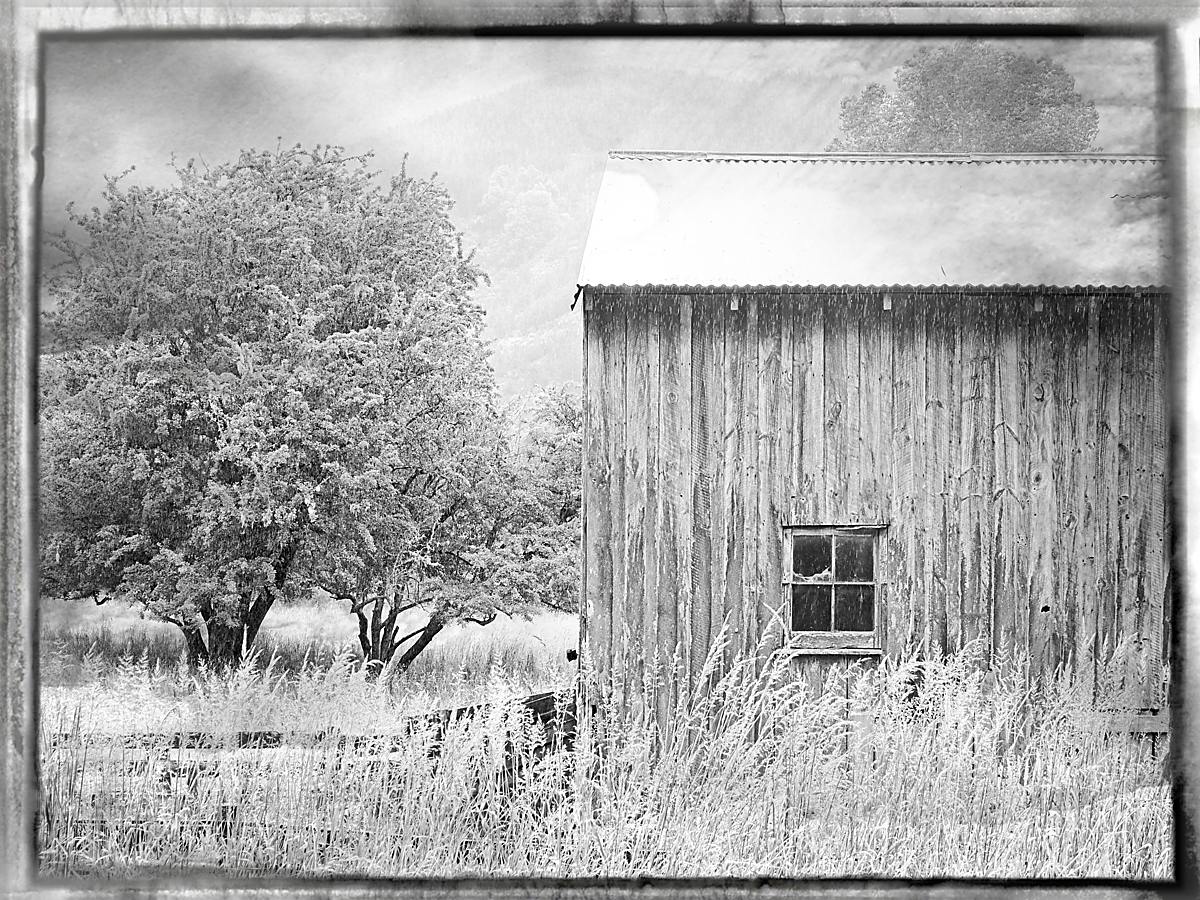 instant film emulation in3 black and white6306