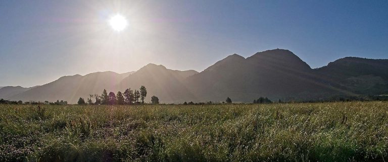 Is It Okay To Shoot In Auto Mode?