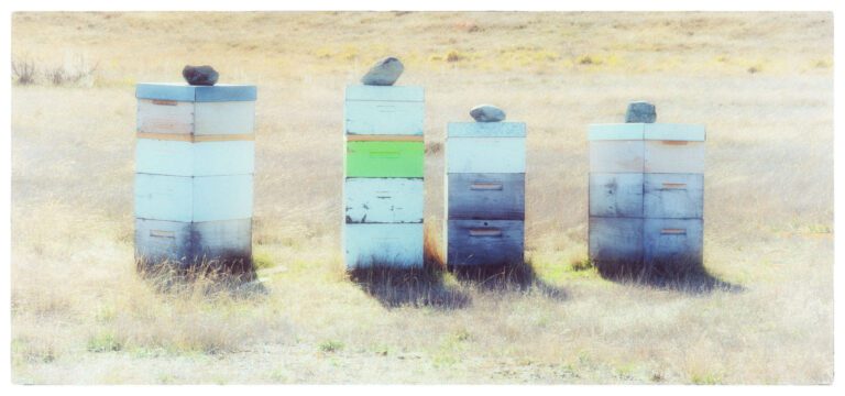 A Quick Look At Nik Collection 7