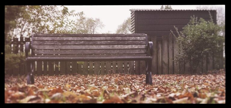 install Nik Collection 7 as plugins to on1 photo raw