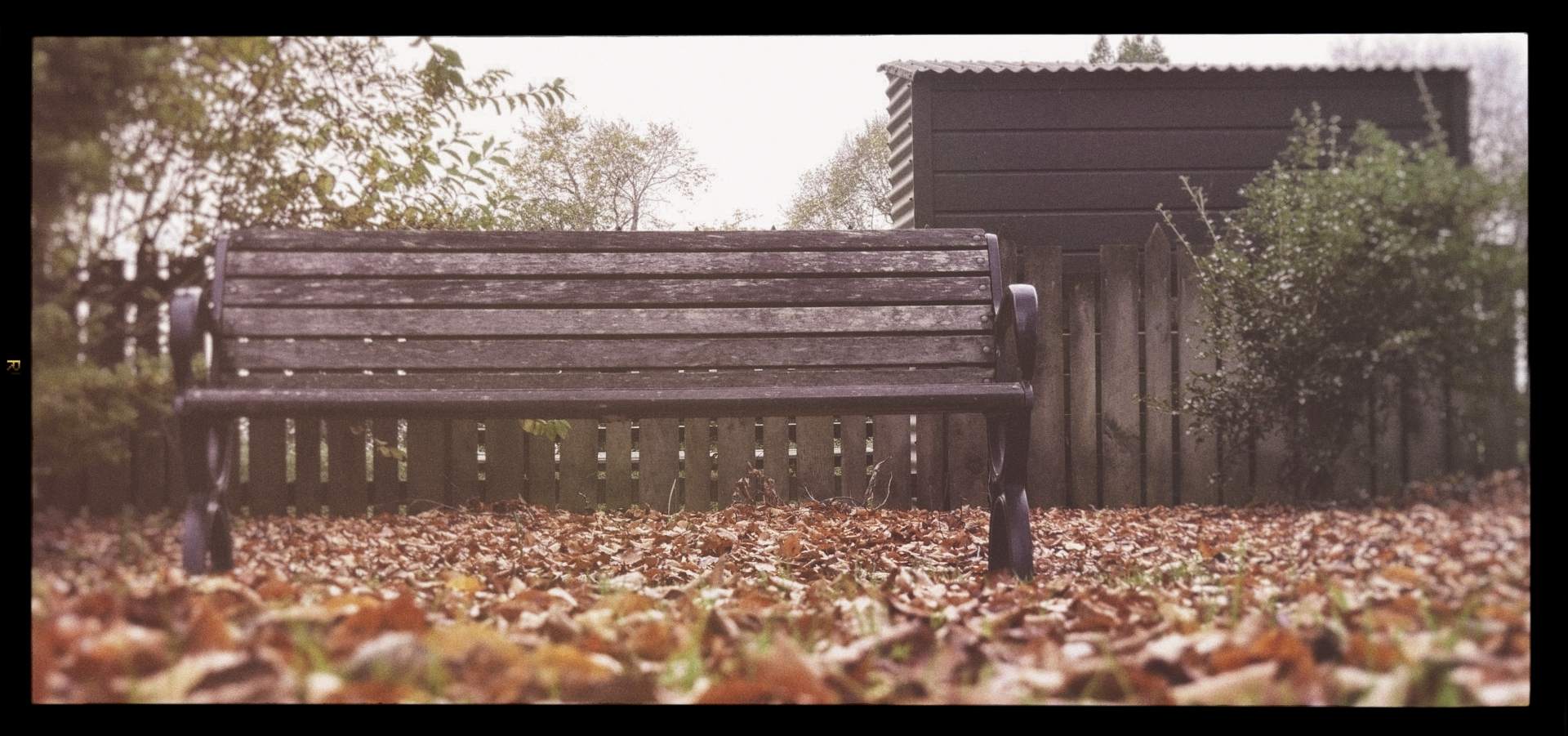 install Nik Collection 7 as plugins to on1 photo raw