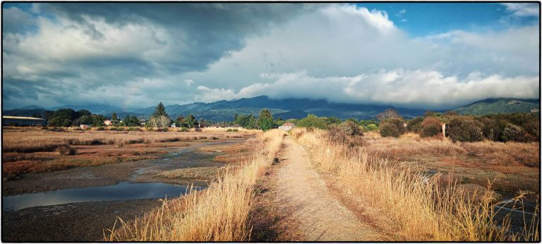 Motueka Estuary Walkway