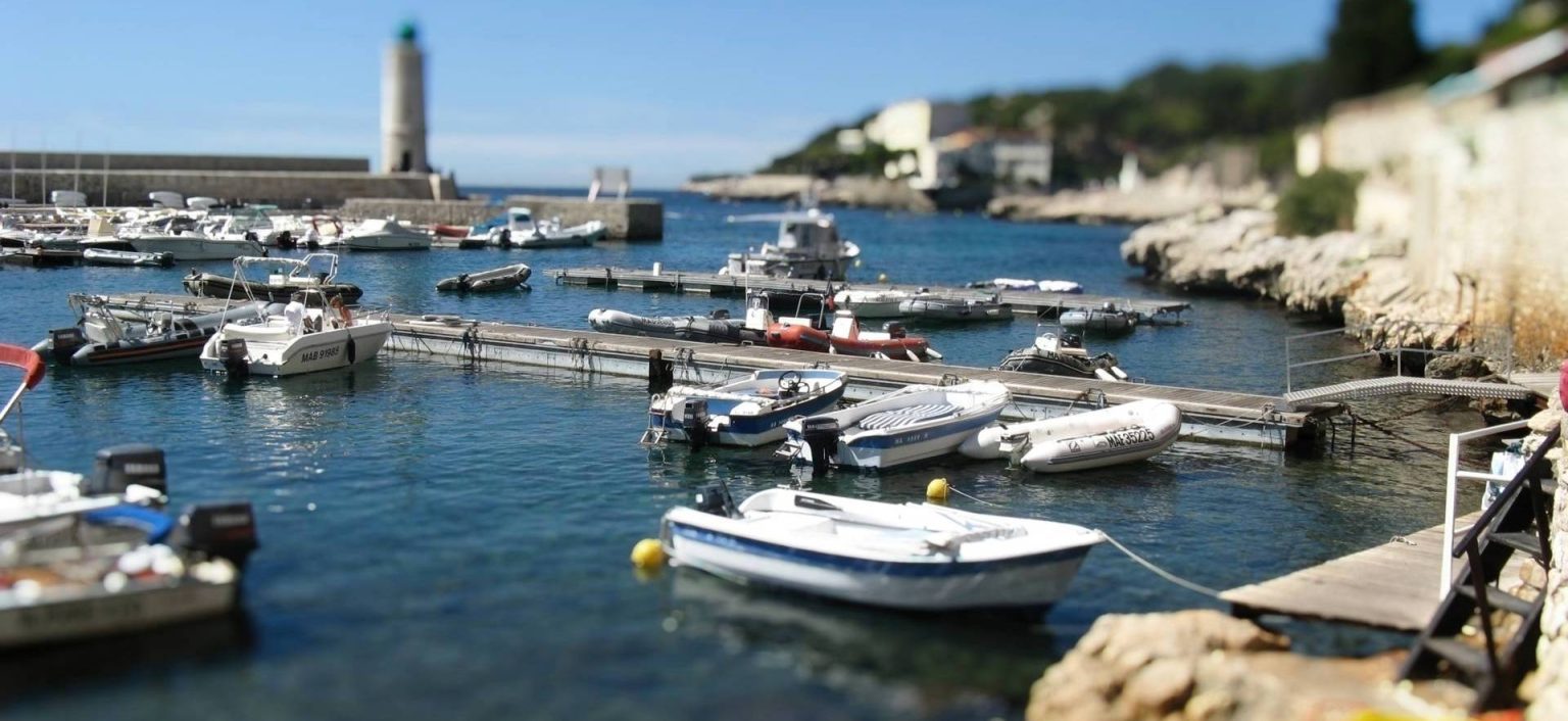 who is dxo viewpoint 5 for - miniature effect