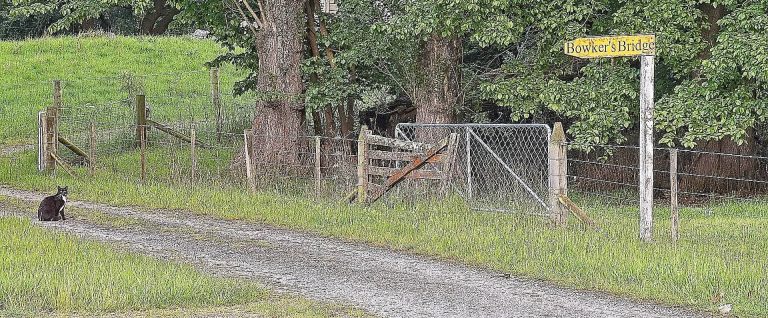 Snapshots From The Road