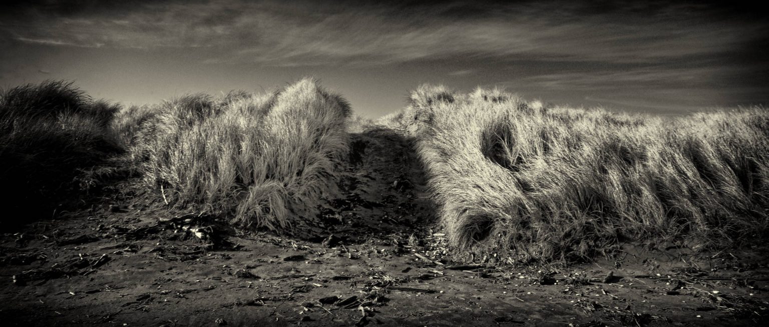 8 Black and white Photographs Converted With Nik Silver Efex
