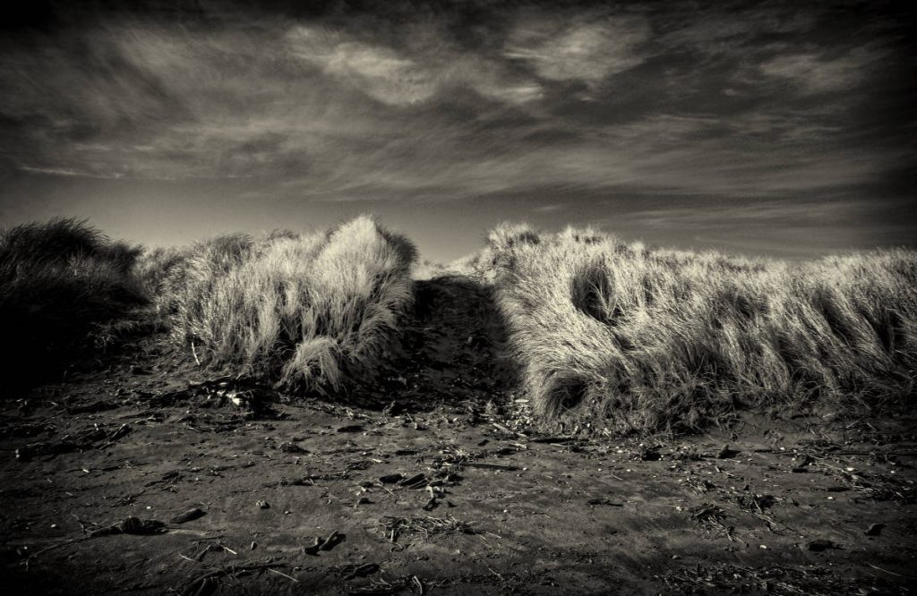 sand dunes oreti berach - 8 black and white photos converted with nik 