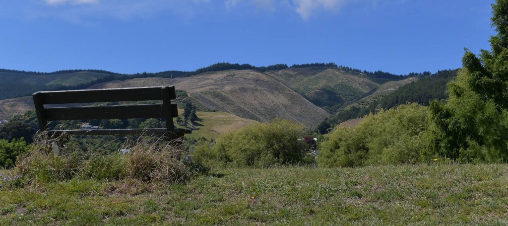 a bench in a grassy field