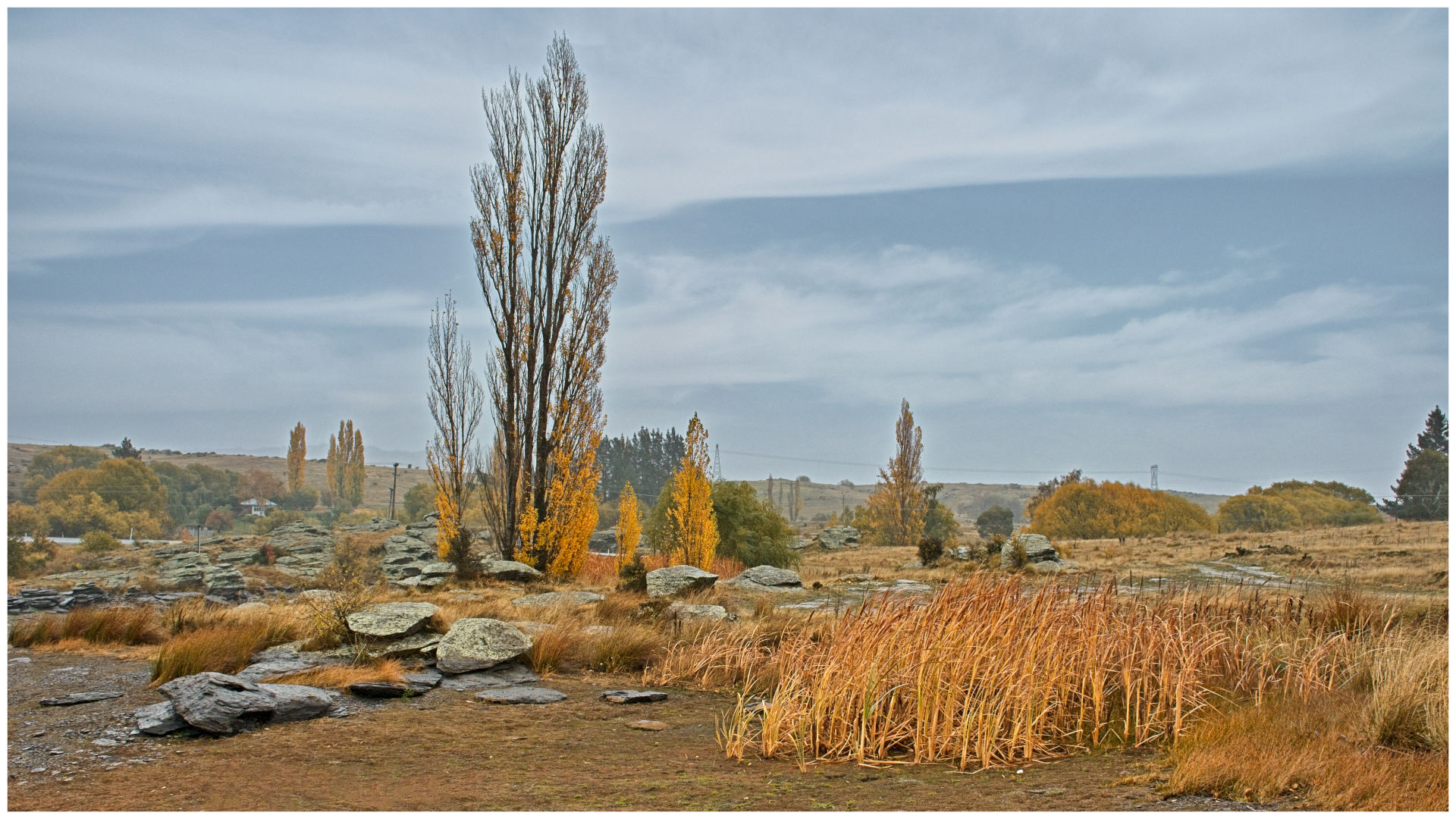 A collection of photographs, stories and random thoughts by New Zealand photographer Rick Harvey