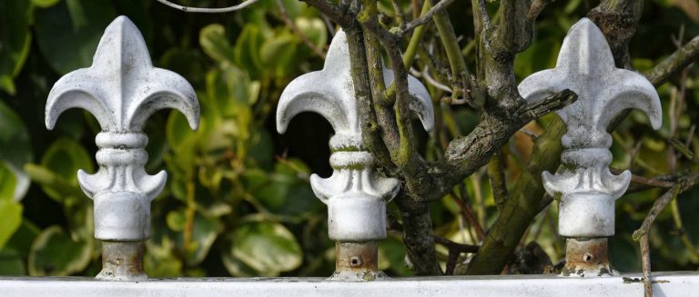 Film Simulation – Positive or Negative?