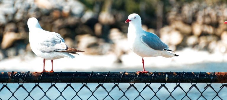 Has DxO Photolab 9 Just Got Better?