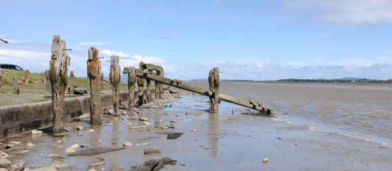 I Just Bought An Old DSLR For Under $100