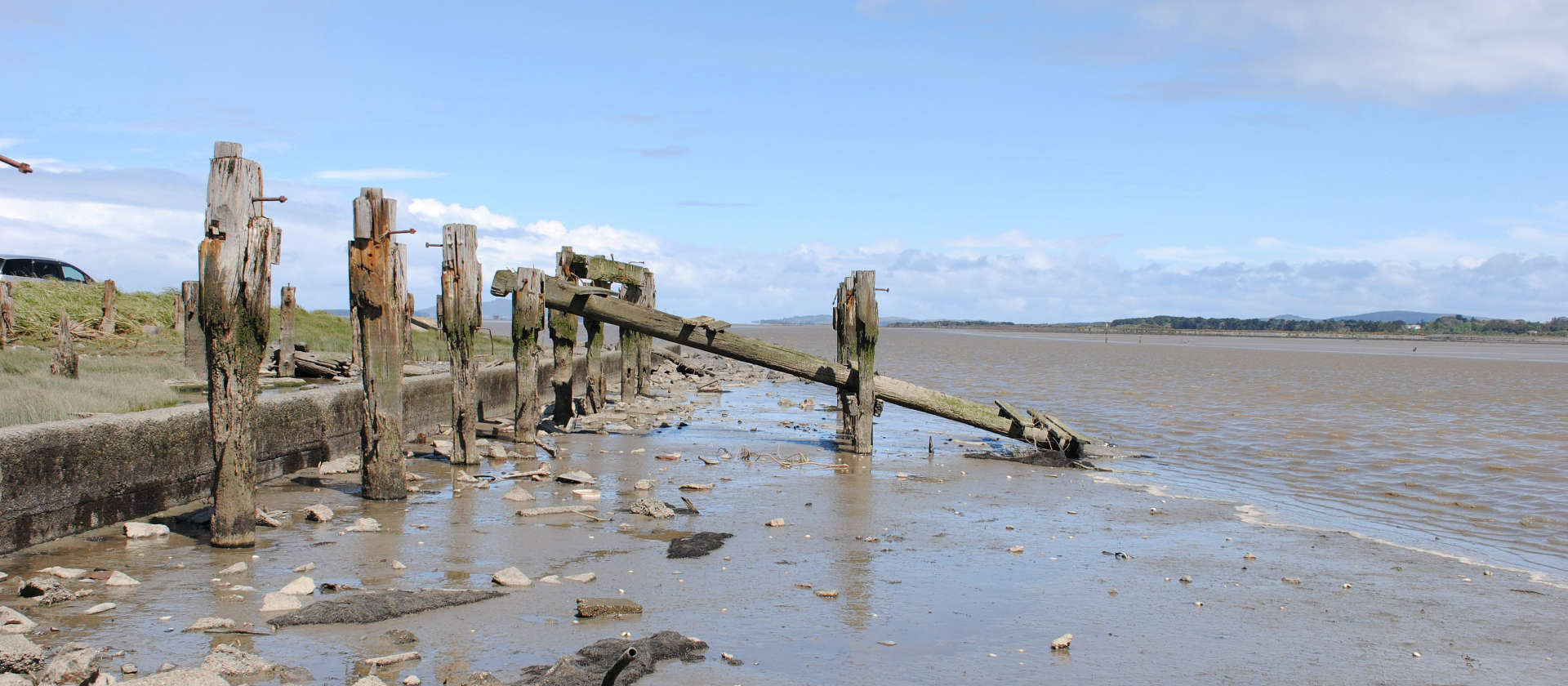 I Just Bought An Old DSLR For Under $100