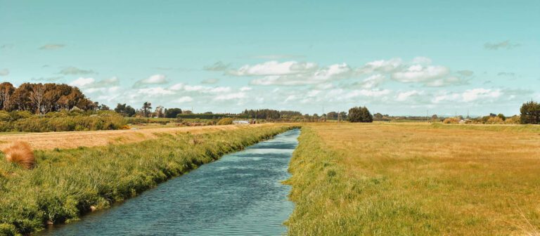 Do CCD Sensors Create Film-Look Images?