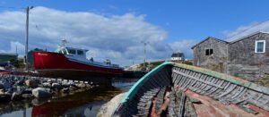 CCD Sensors and Film Like Images – Part 2