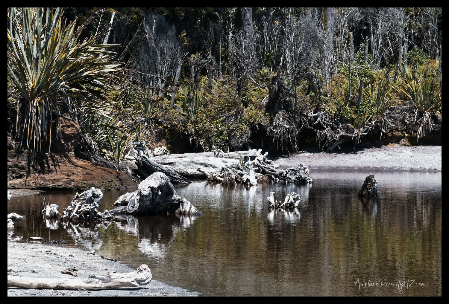 A pool on Bruce Bay beach