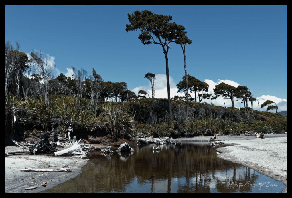At Bruce Bay, South Westland