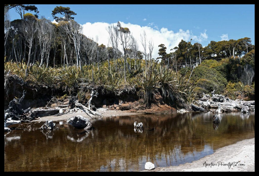 pool on the beach at bruce bay south westland