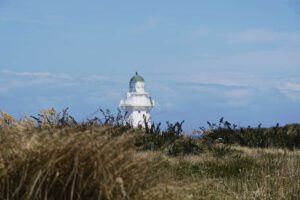 Be A Tourist In Your Own Backyard