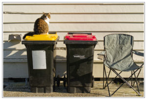 In Photography Circles Opinions Will Always Be Divided