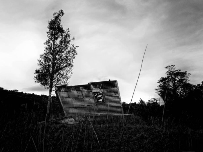 collapsed shed in a paddock