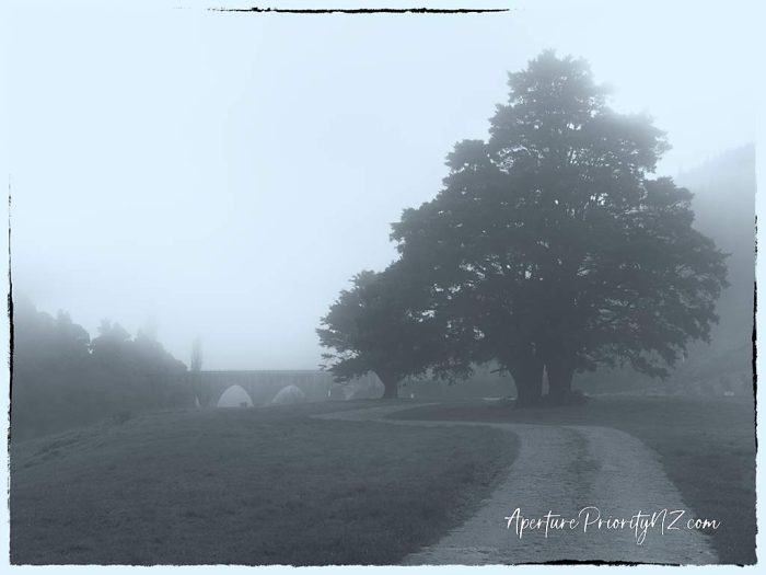 A misty morning at Ferry Reserve freedom camping site