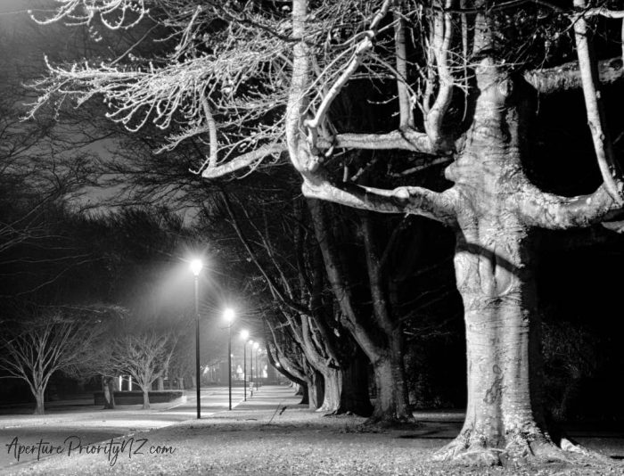 nighttime queens park invercargill