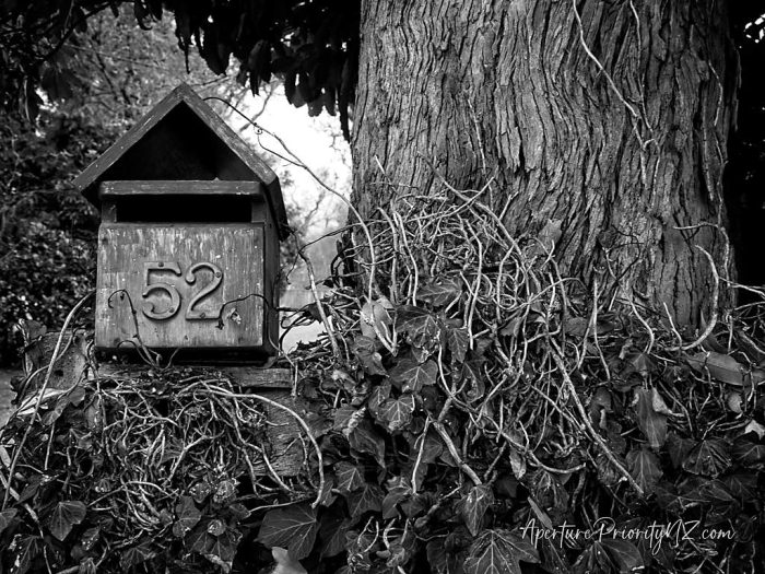 letterbox at number 52